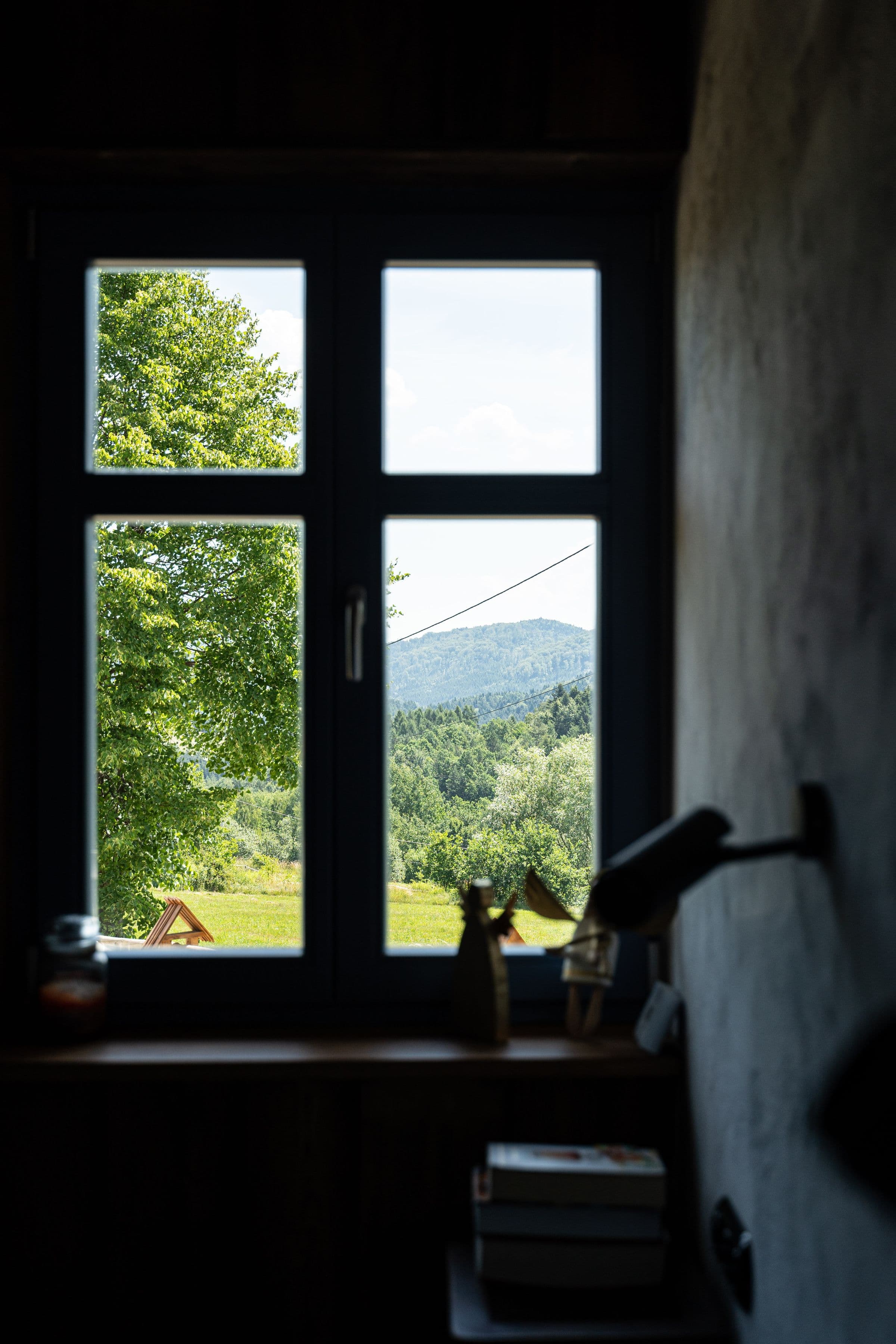 Widok z okna na góry
